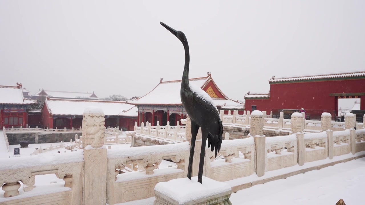 北京故宫博物院雪中美丽风景  雕栏玉砌视频素材