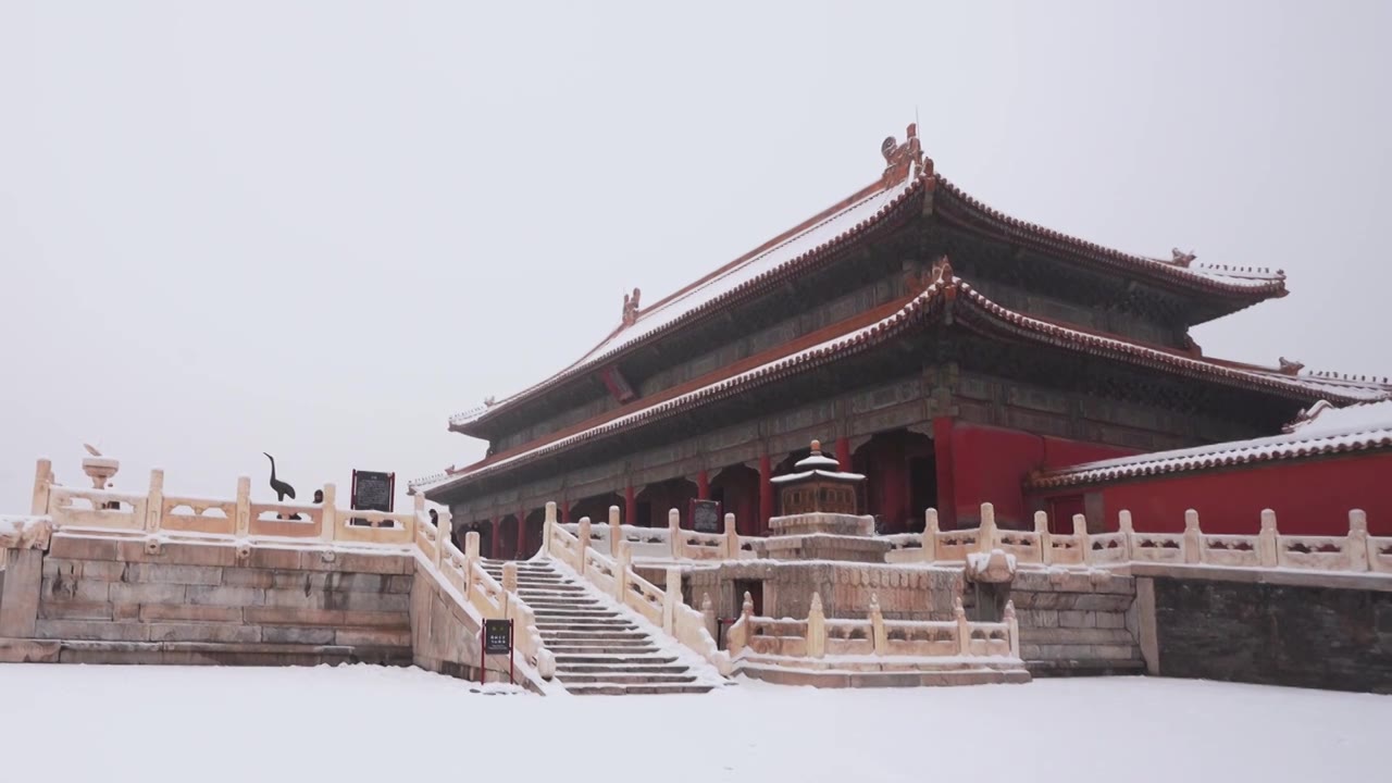 北京故宫博物院雪中美丽风景  雕栏玉砌视频素材