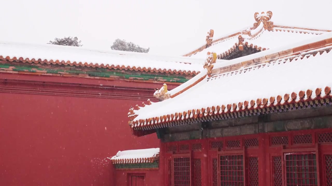 北京故宫博物院雪中美丽风景  雕栏玉砌视频素材