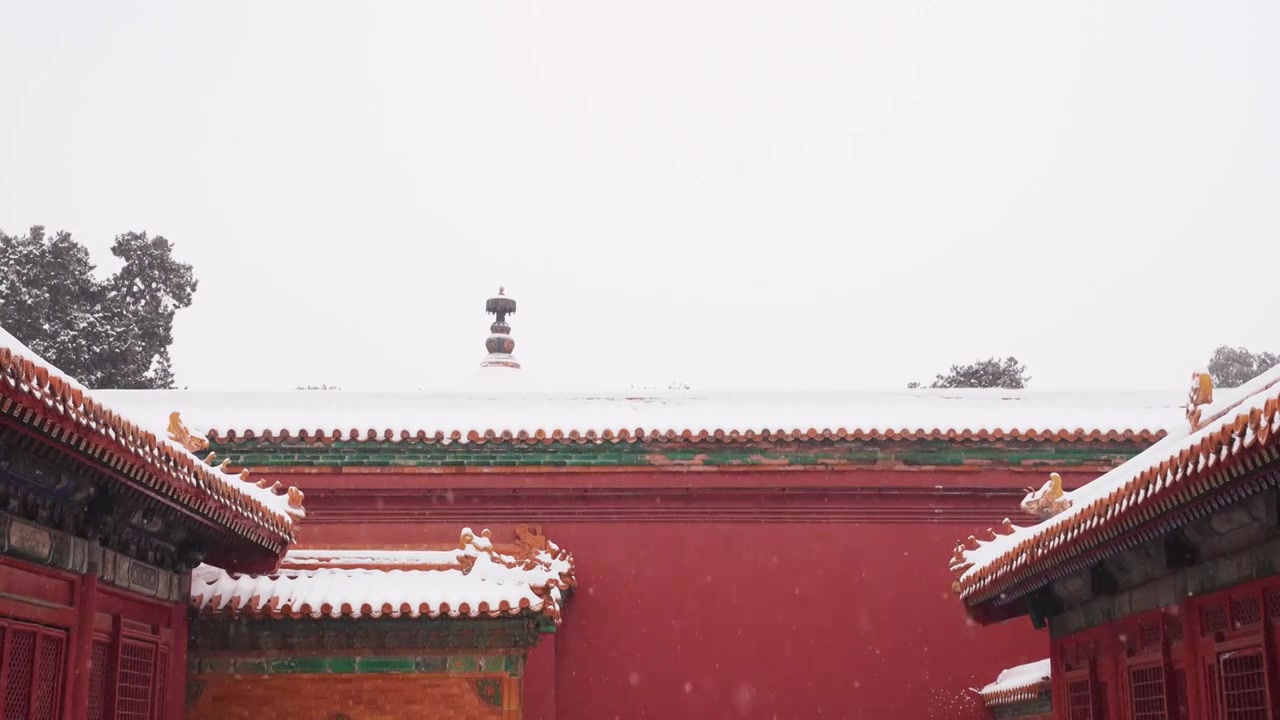 北京故宫博物院雪中美丽风景  雕栏玉砌视频素材