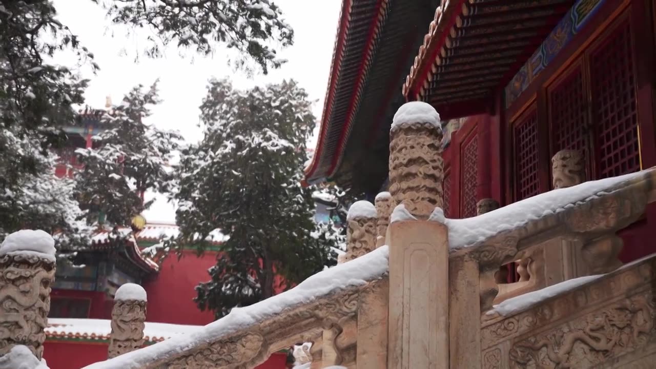 北京故宫博物院雪中美丽风景  雕栏玉砌视频素材