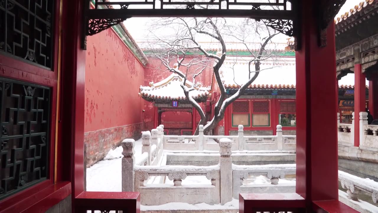 北京故宫博物院雪中美丽风景  雕栏玉砌视频素材