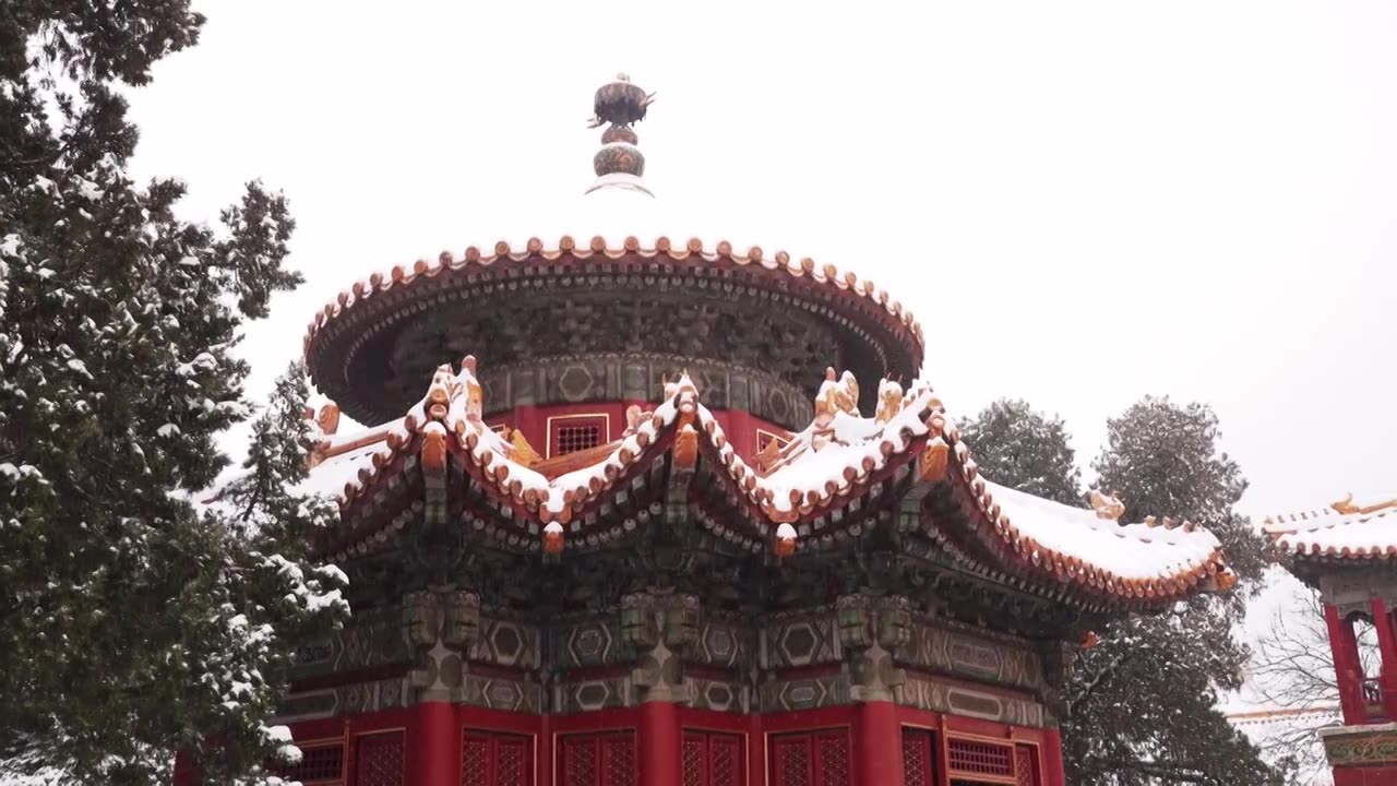 北京故宫博物院雪中美丽风景  雕栏玉砌视频素材