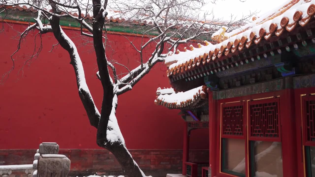 北京故宫博物院雪中美丽风景  雕栏玉砌视频素材