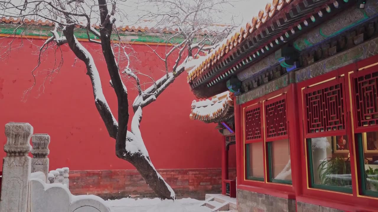 北京故宫博物院雪中美丽风景  雕栏玉砌视频素材