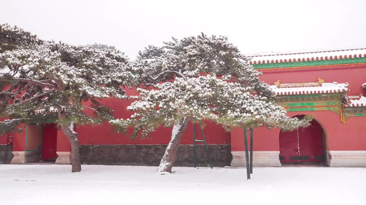 北京故宫博物院雪中美丽风景  雕栏玉砌视频素材