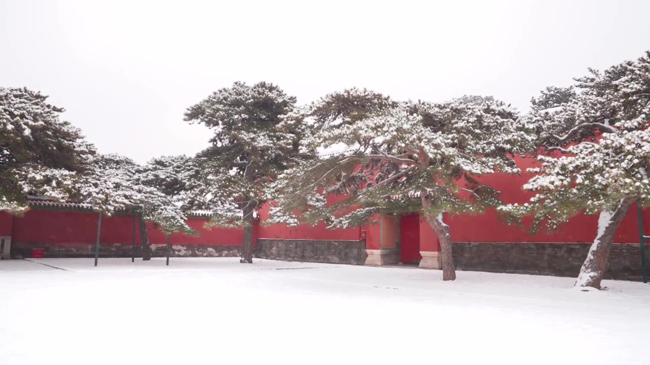 北京故宫博物院雪中美丽风景  雕栏玉砌视频素材