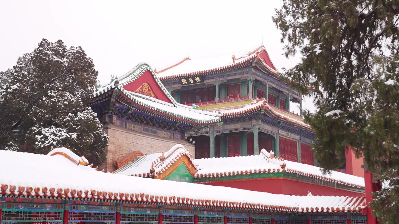 北京故宫博物院雪中美丽风景  雕栏玉砌视频素材