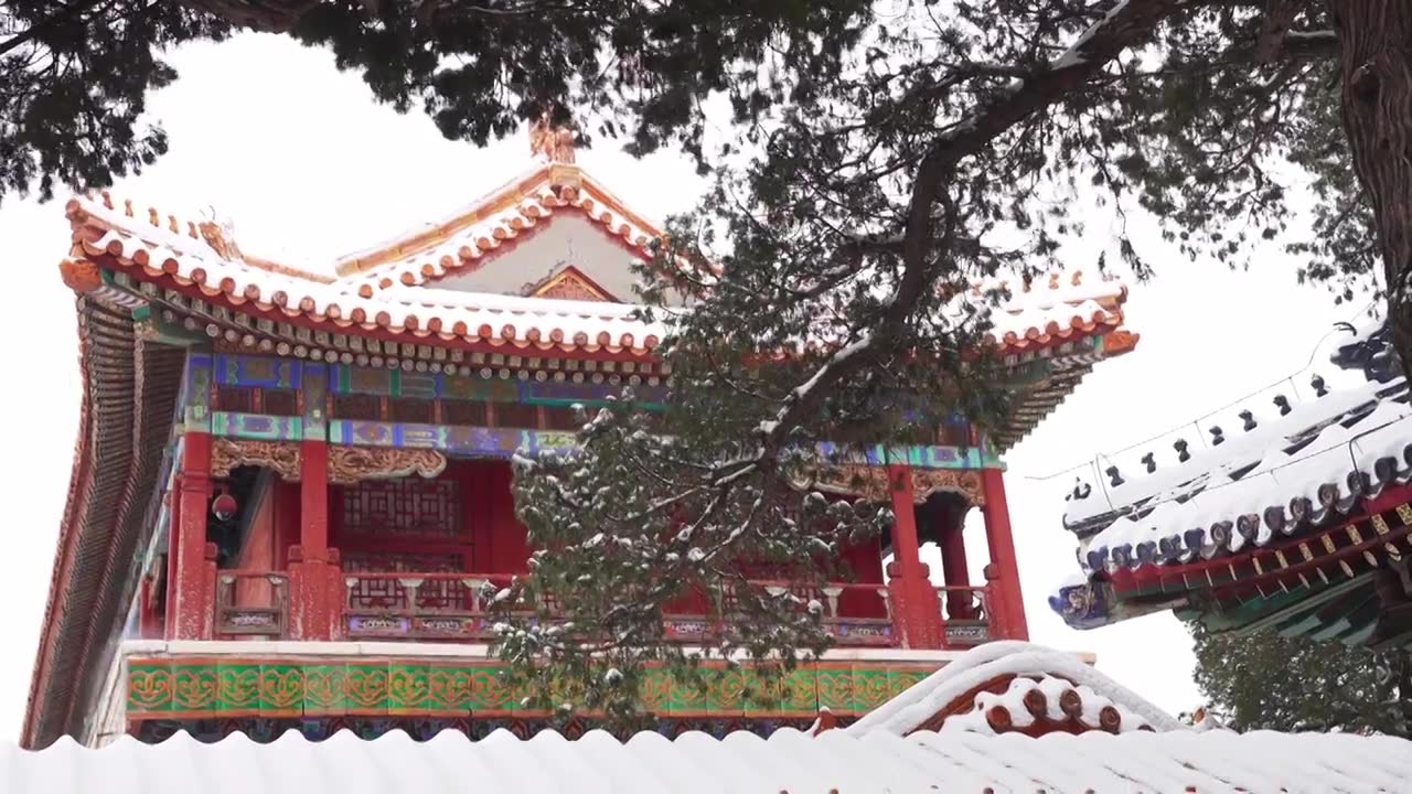 北京故宫博物院雪中美丽风景  雕栏玉砌视频素材