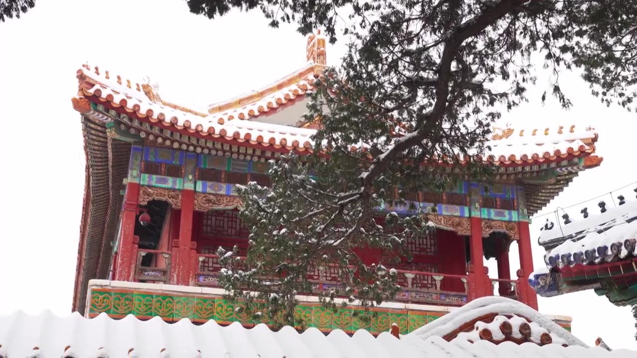 北京故宫博物院雪中美丽风景  雕栏玉砌视频素材