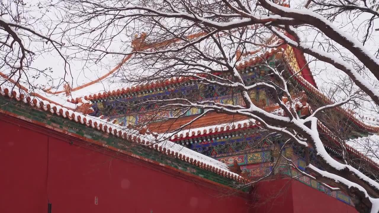 北京故宫博物院雪中美丽风景  雕栏玉砌视频素材