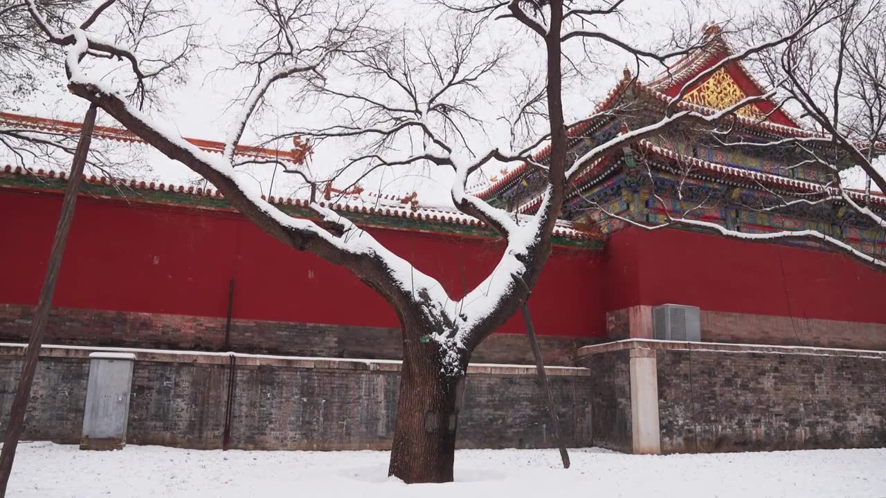 北京故宫博物院雪中美丽风景  雕栏玉砌视频素材