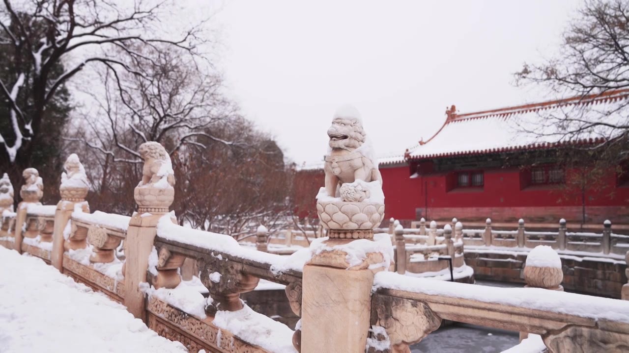 冬天雪中故宫的一些雕刻的动物 艺术视频素材