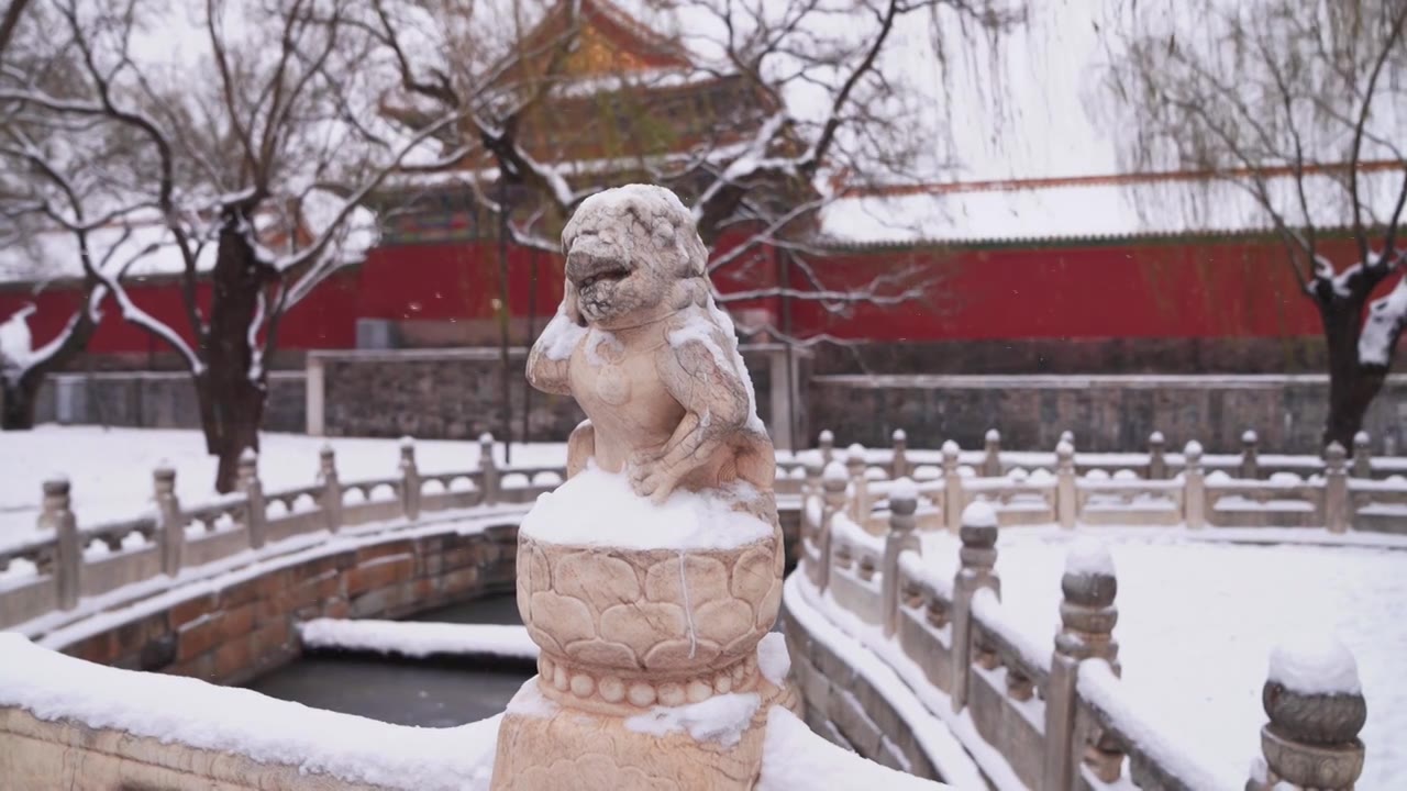 冬天雪中故宫的一些雕刻的动物 艺术视频素材