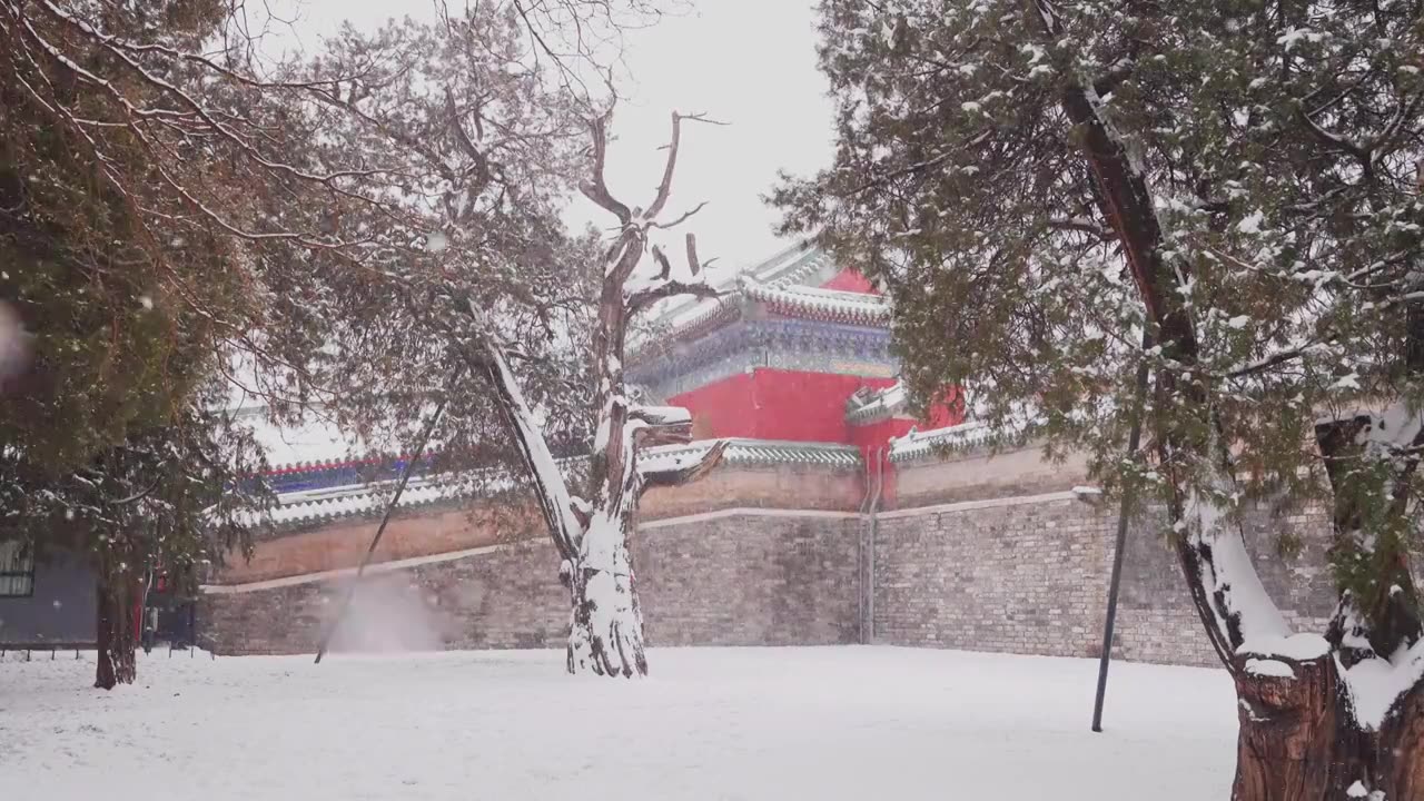 北京市天坛公园祈年殿棂星门皇穹宇雪景视频素材