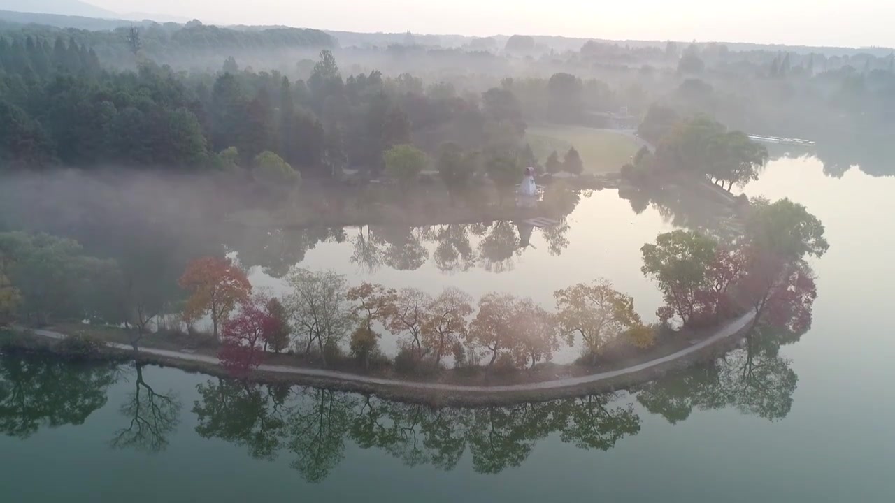 南京中山植物园秋景视频素材