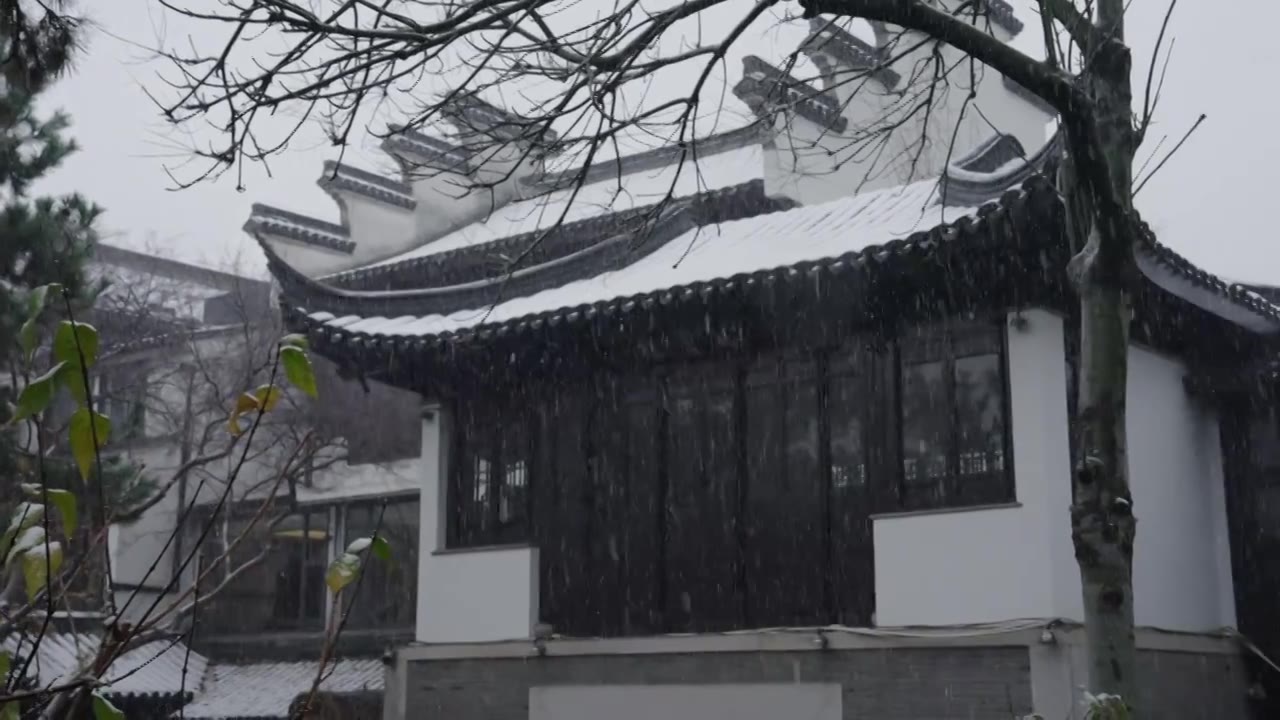 下雪中的江南园林，雪中的江阴兴国公园，雪中的中山公园，江南园林雪景，下雪，雪景，江阴市园林雪景视频素材