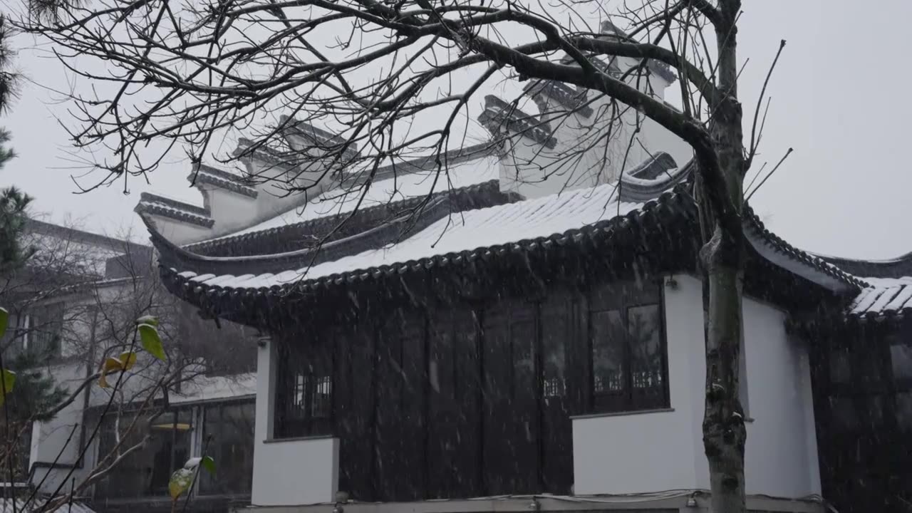 下雪中的江南园林，雪中的江阴兴国公园，雪中的中山公园，江南园林雪景，下雪，雪景，江阴市园林雪景视频素材