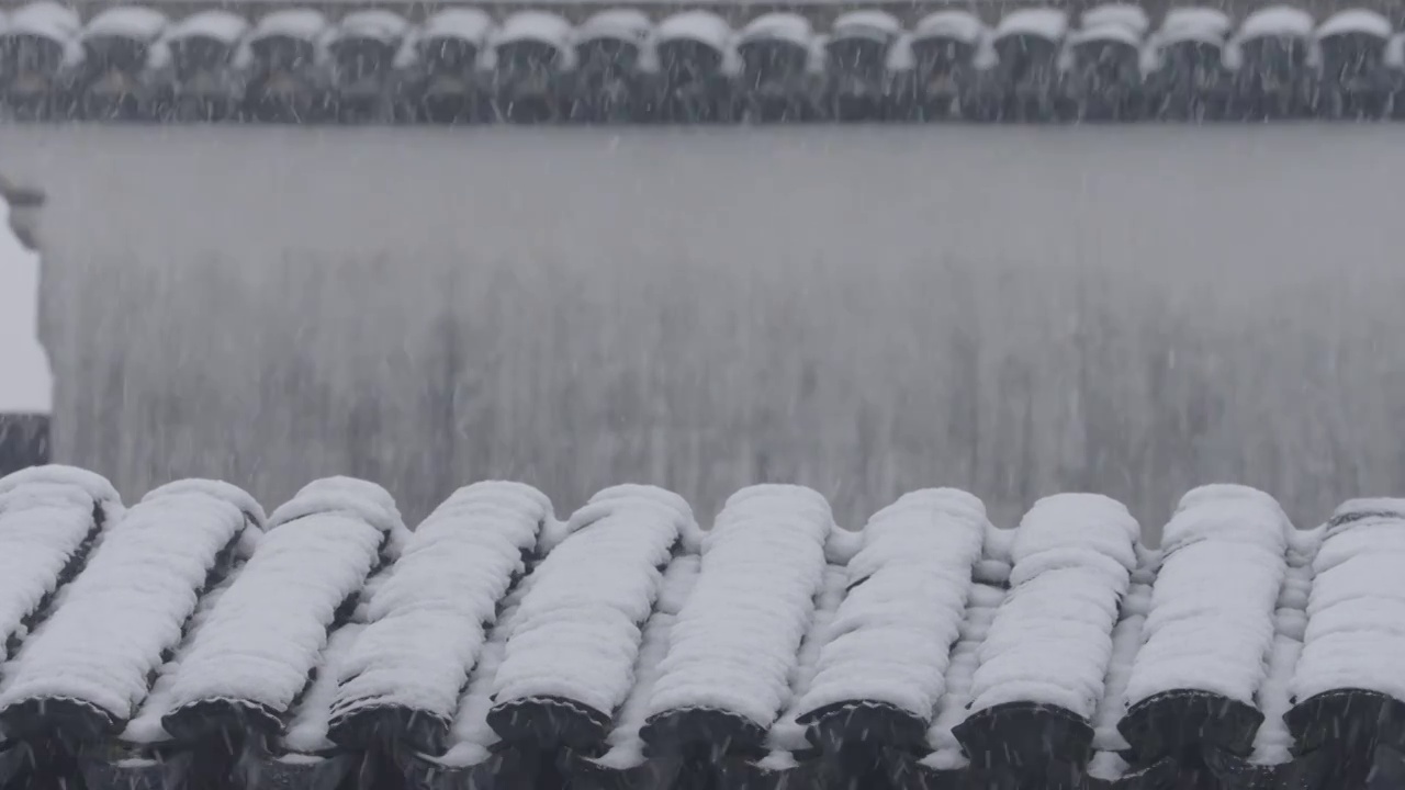 下雪中的江南园林，雪中的江阴兴国公园，雪中的中山公园，江南园林雪景，下雪，雪景，江阴市园林雪景视频素材