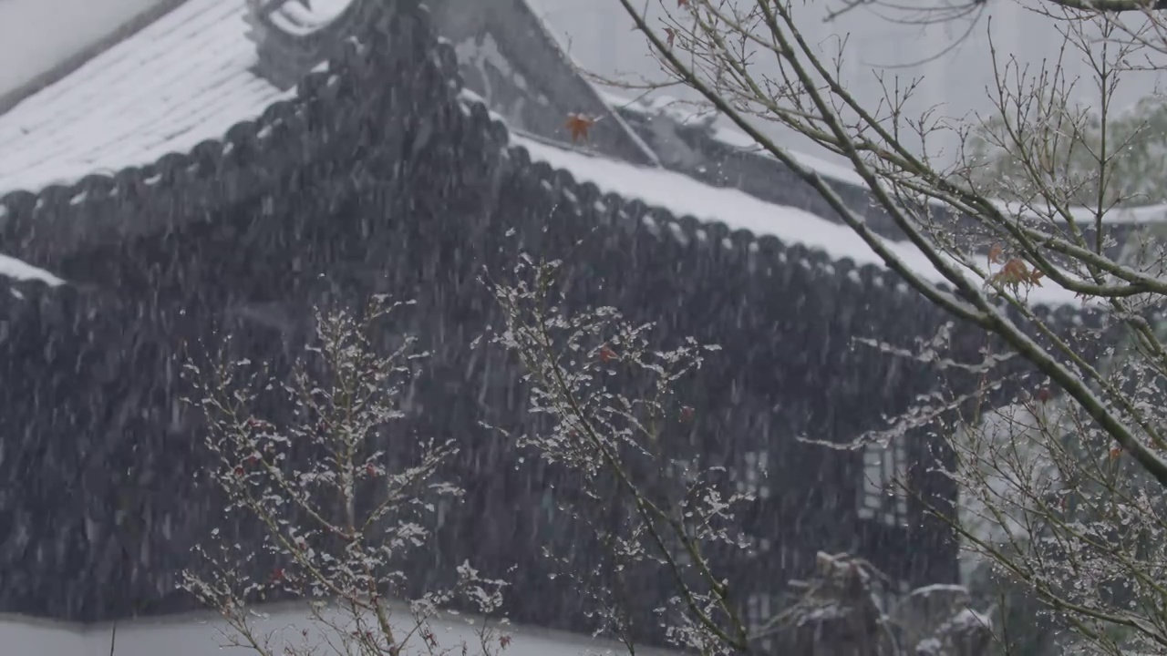 下雪中的江南园林，雪中的江阴兴国公园，雪中的中山公园，江南园林雪景，下雪，雪景，江阴市园林雪景视频素材