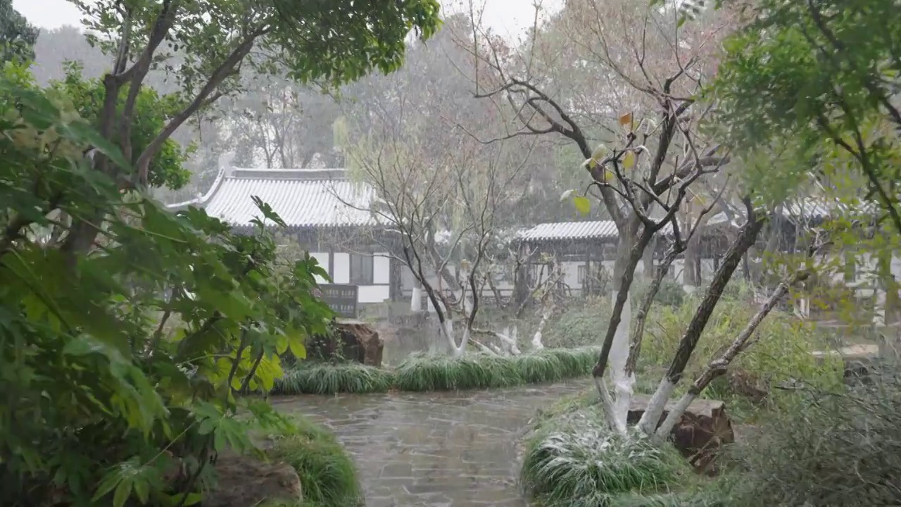 下雪中的江南园林，雪中的江阴兴国公园，雪中的中山公园，江南园林雪景，下雪，雪景，江阴市园林雪景视频素材