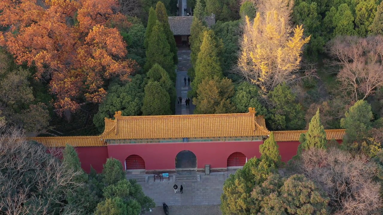 南京明孝陵深秋景观视频素材