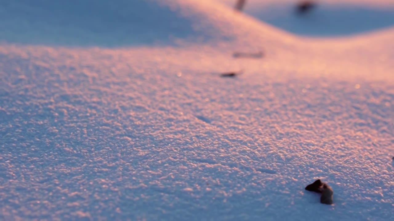 冬天唯美雪地空镜视频素材