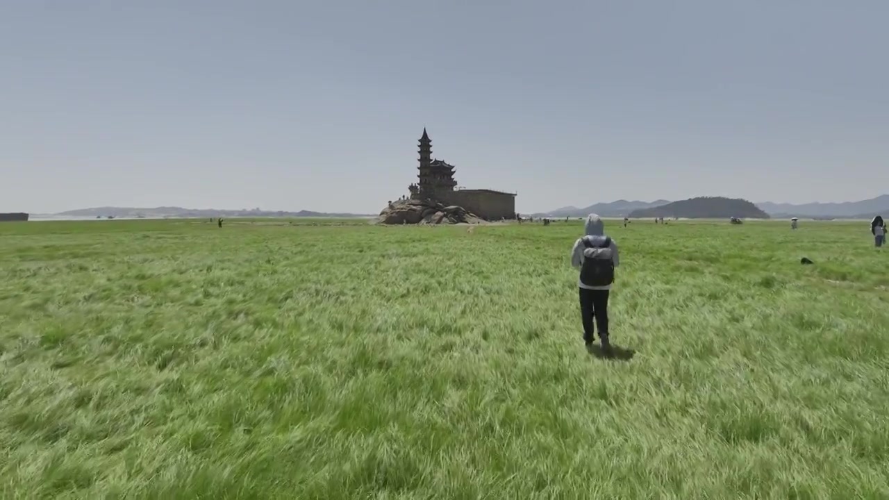 江西九江鄱阳湖草海落星墩视频素材