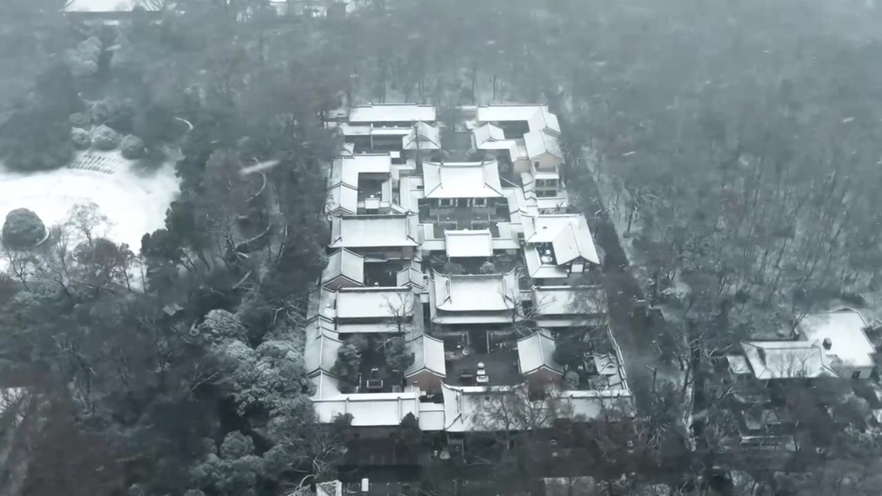 南京灵谷寺雪景视频素材