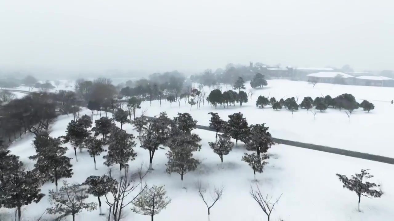 南京钟山体育公园雪景视频素材