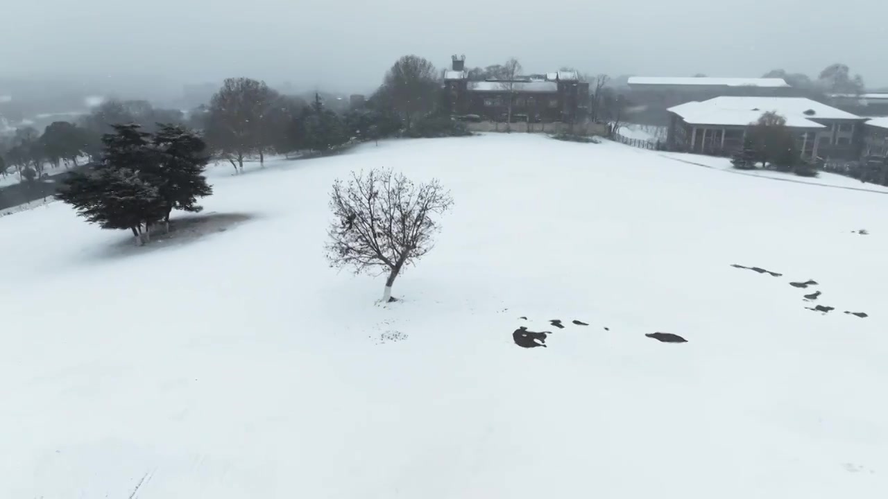 南京钟山体育公园雪景视频素材