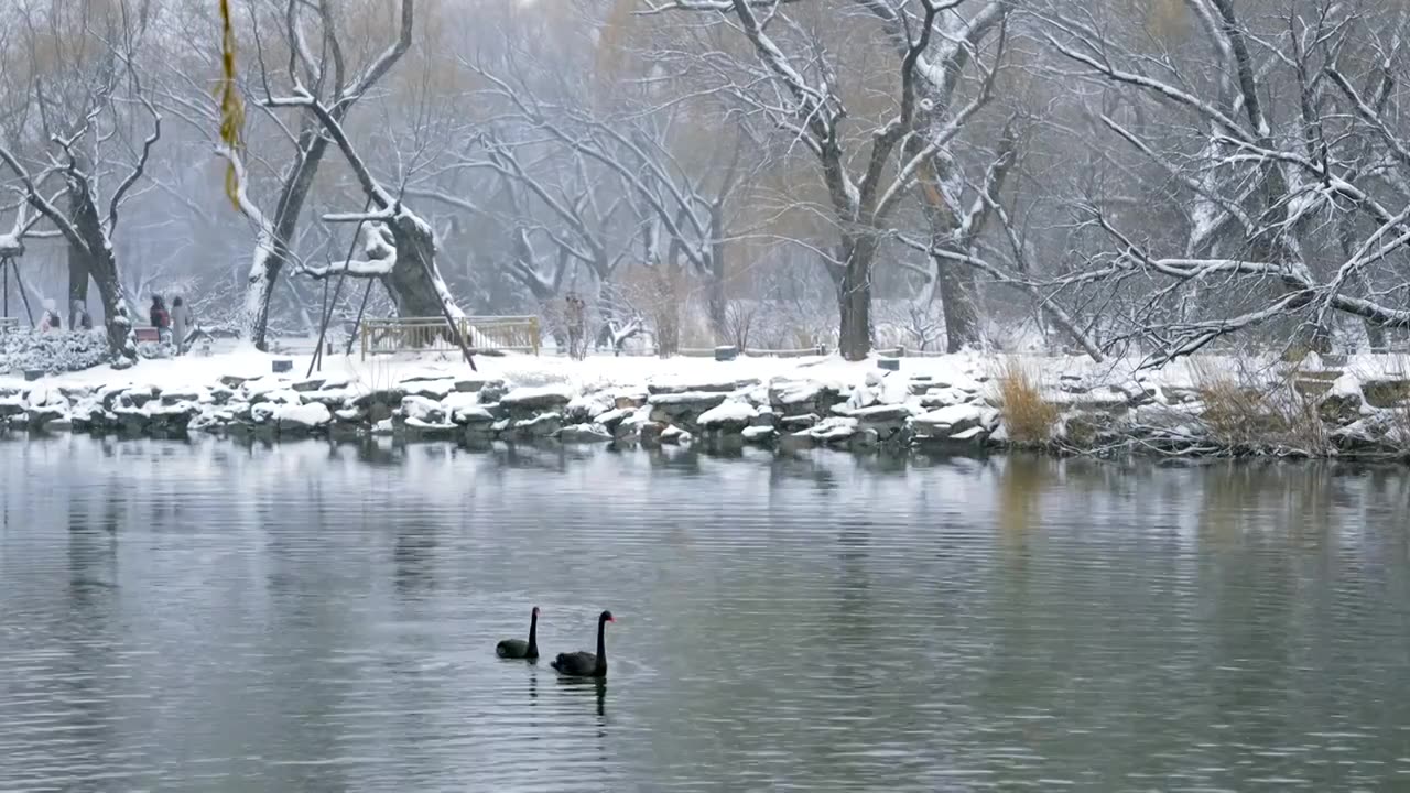 升格拍摄北京颐和园冬季雪景视频素材