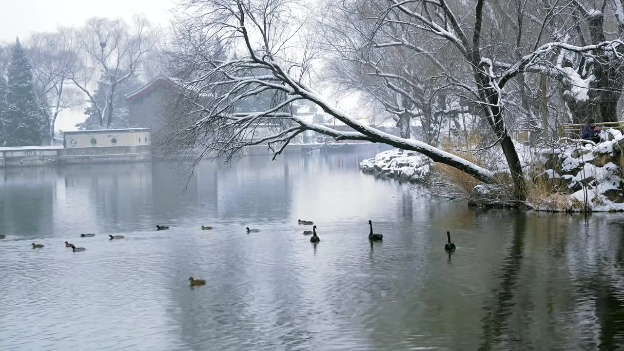 升格拍摄北京颐和园冬季雪景视频素材