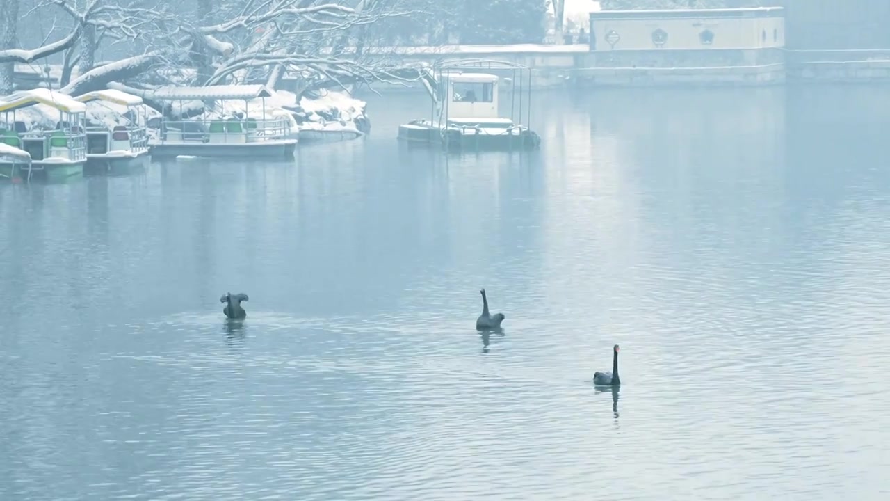 升格拍摄北京颐和园冬季雪景视频素材