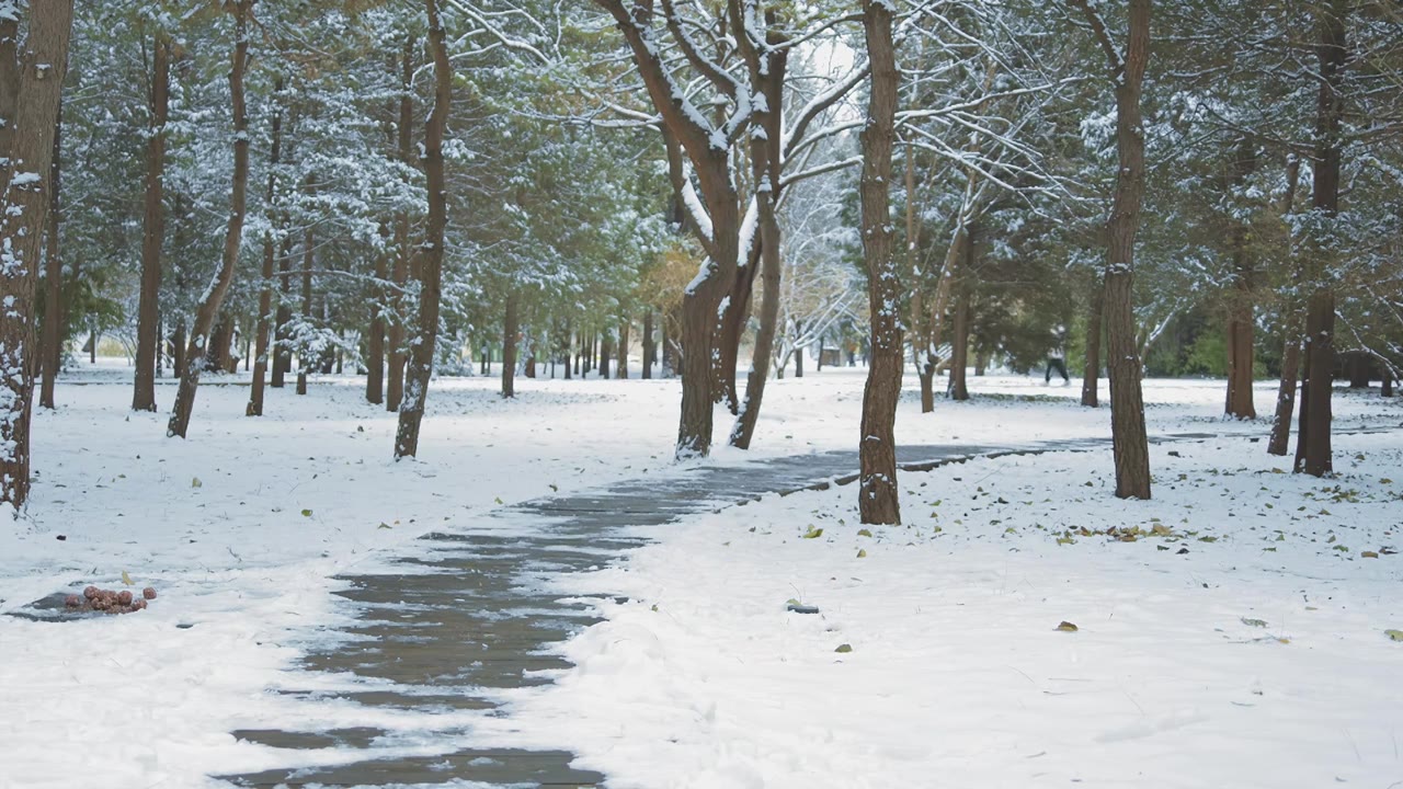 升格拍摄北京颐和园冬季雪景视频素材