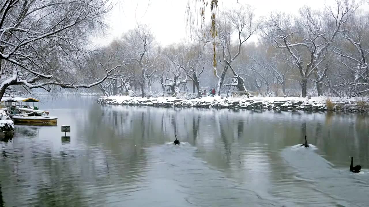 北京颐和园冬季雪景视频素材