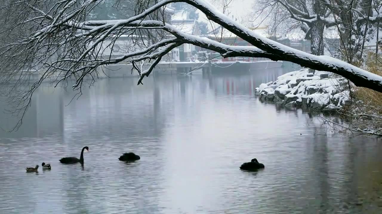 北京颐和园冬季雪景视频素材