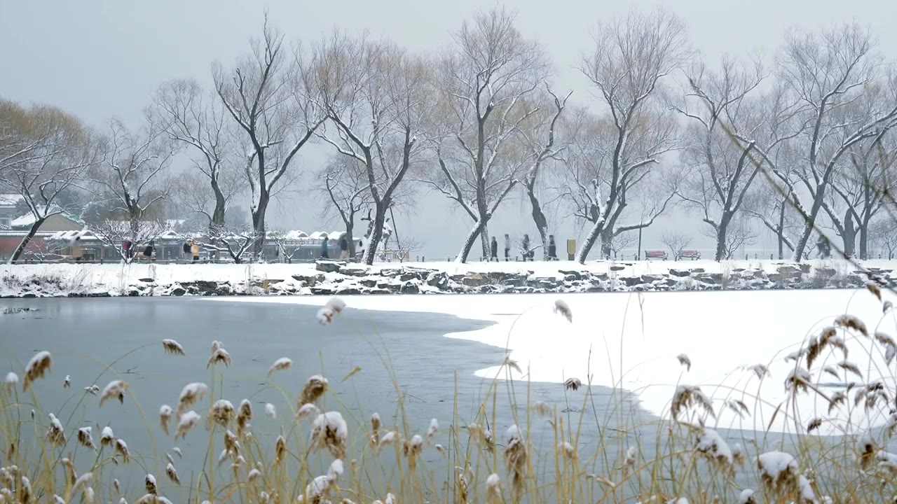 北京颐和园冬季雪景视频素材