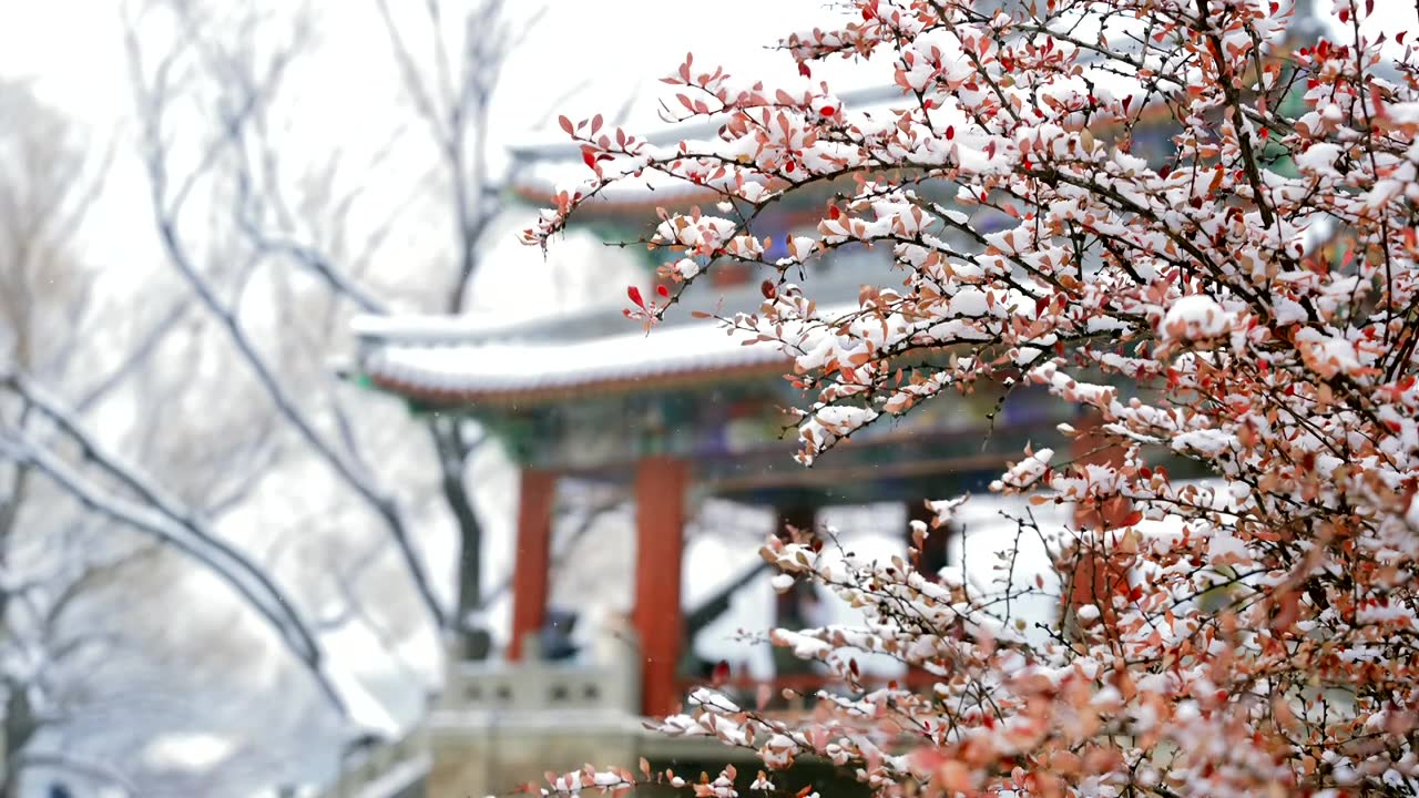 北京颐和园冬季雪景视频素材