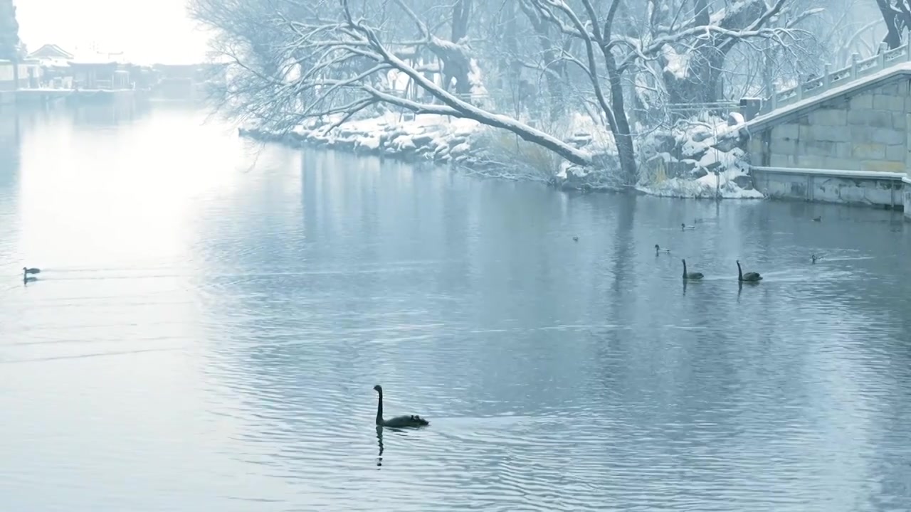 北京颐和园冬季雪景视频素材