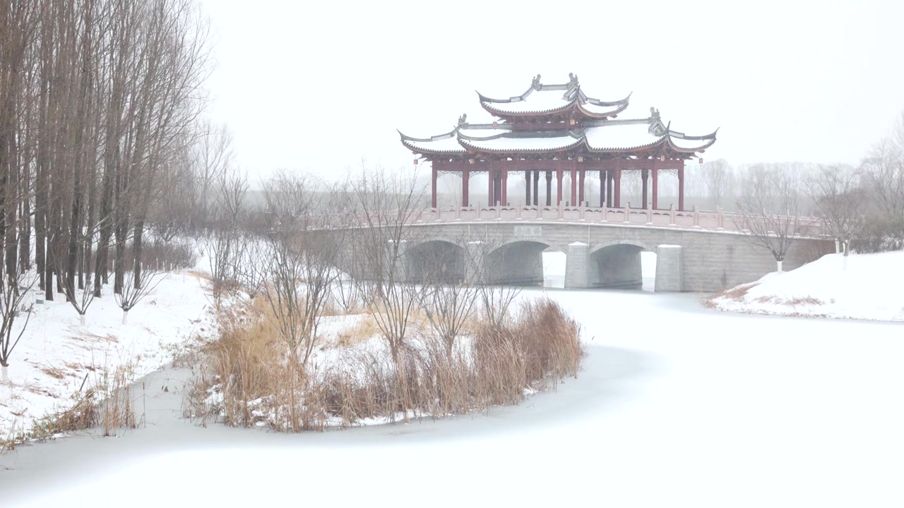 湿地公园冬天被雪覆盖的桥视频素材