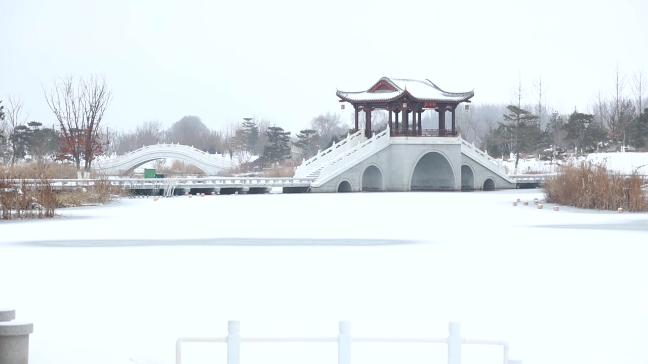 湿地公园冬天被雪覆盖的桥视频素材