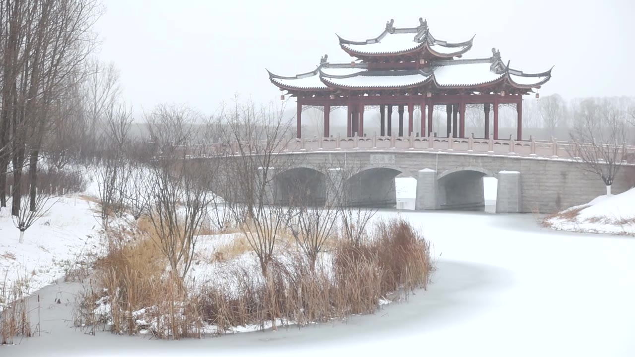 湿地公园冬天被雪覆盖的桥视频素材