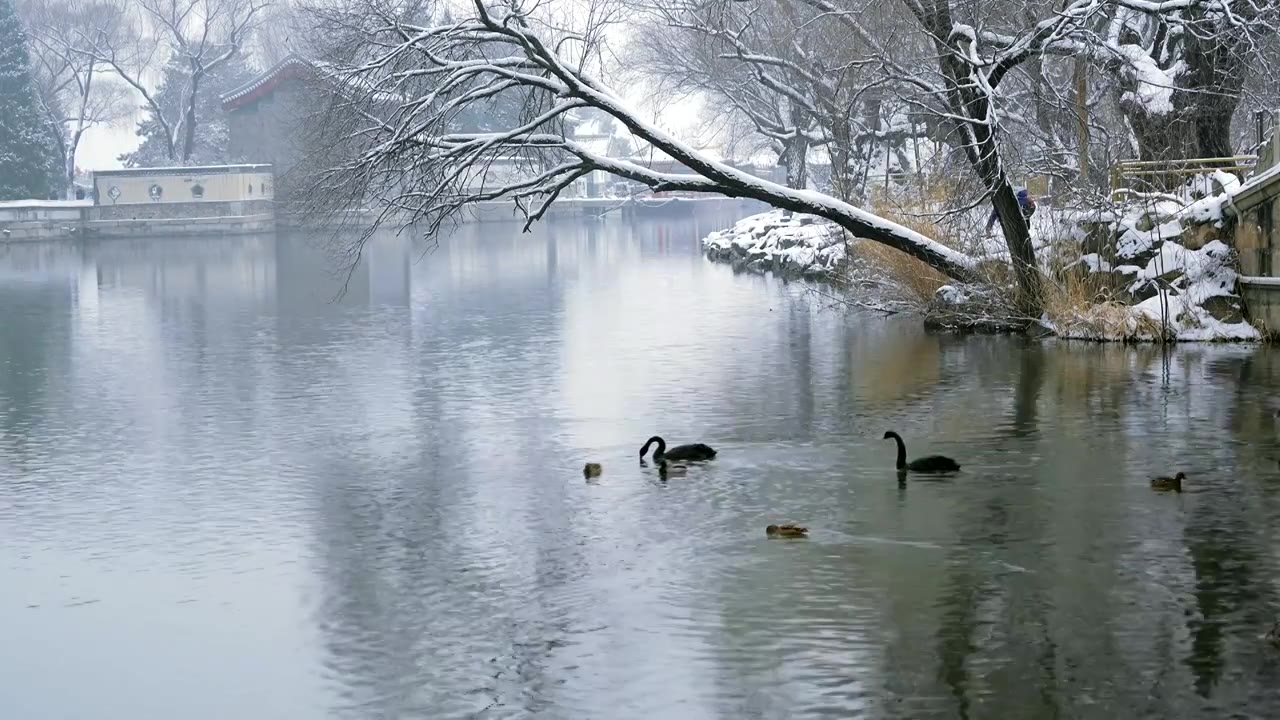 升格拍摄北京颐和园冬季雪景视频素材