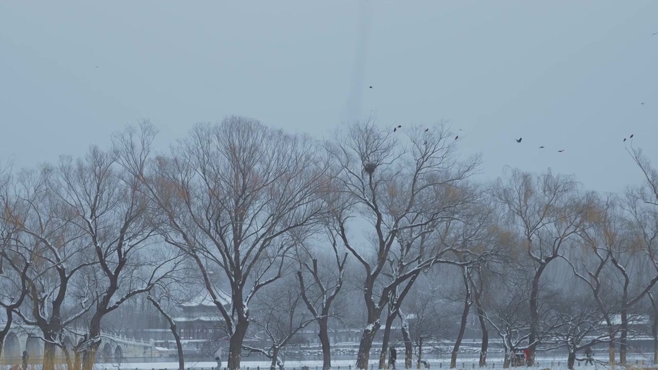 升格拍摄北京颐和园冬季雪景视频素材