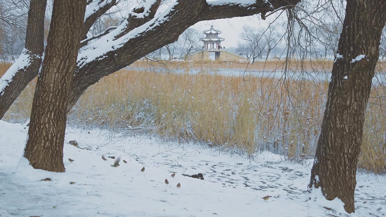 升格拍摄北京颐和园冬季雪景视频素材