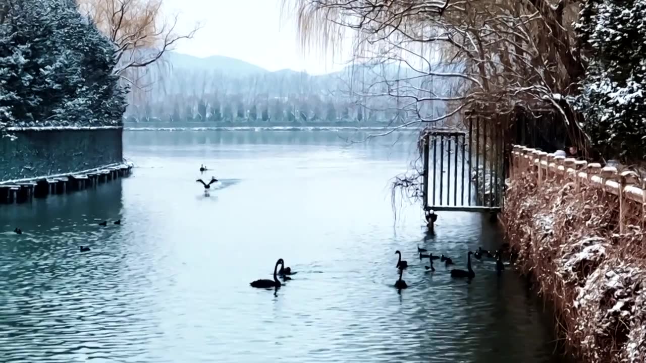 升格拍摄北京颐和园冬季雪景视频素材