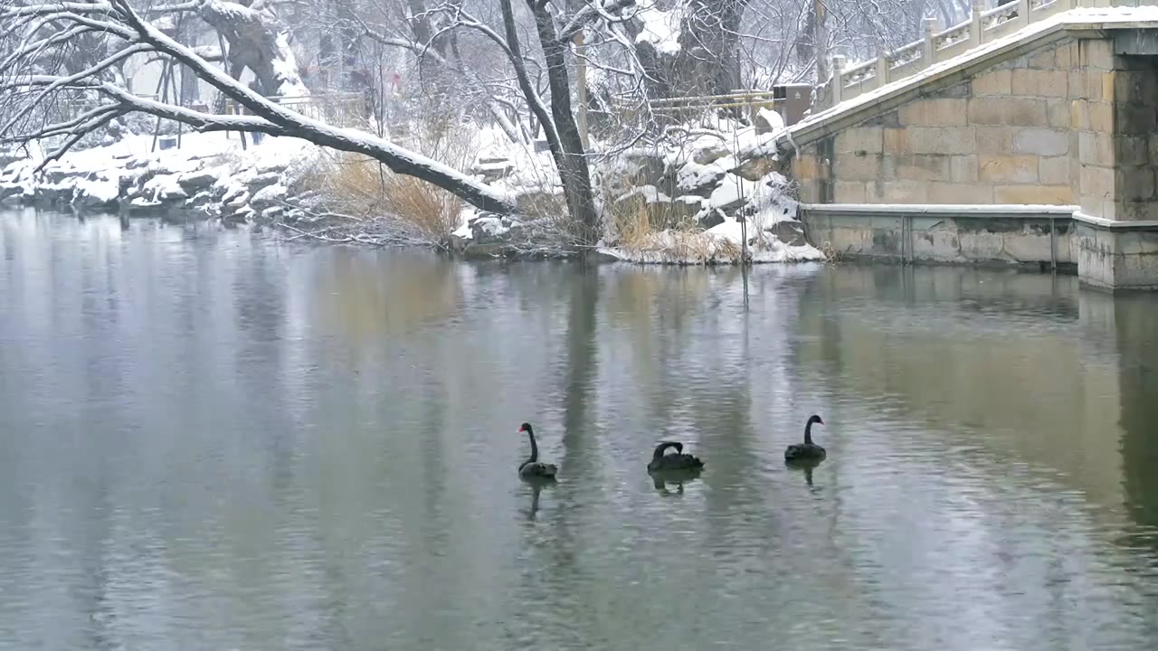 北京颐和园冬季雪景视频素材