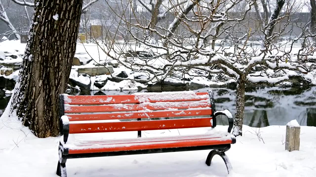 北京颐和园冬季雪景视频素材