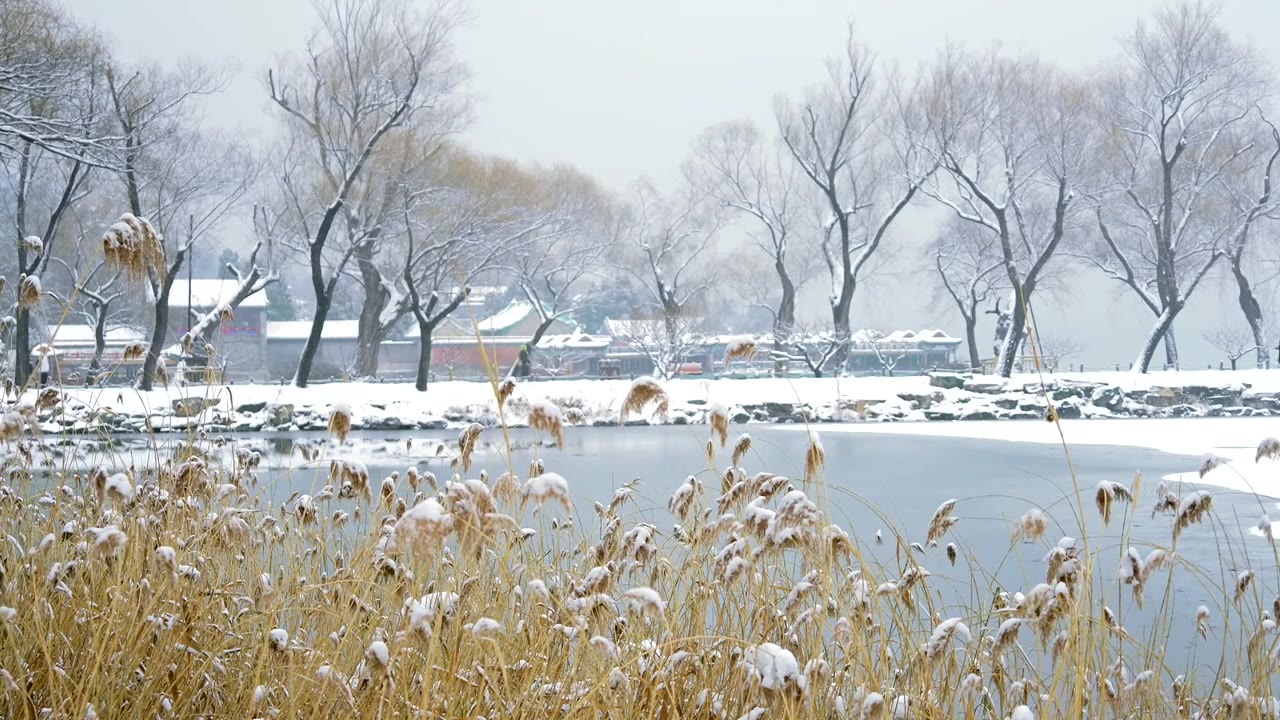 北京颐和园冬季雪景视频素材